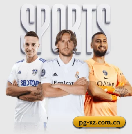 五大服务分区,信息按项目分类