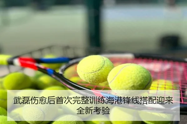 武磊伤愈后首次完整训练海港锋线搭配迎来全新考验
